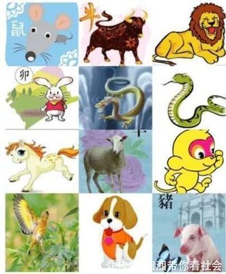 印度十二生肖