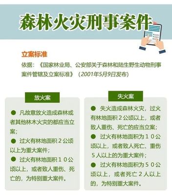 刑事案件立案标准金额