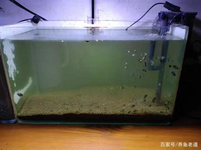 嘉興水族魚缸質(zhì)量怎么樣