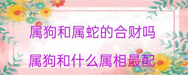 属狗的和属蛇的合财吗