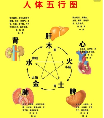 阴阳与五行