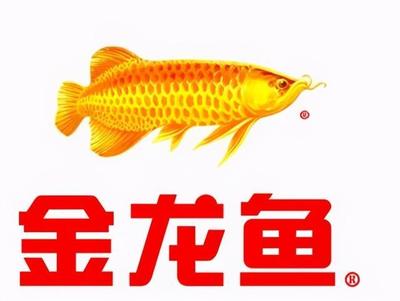 紅龍魚(yú)缸背景圖選擇什么顏色好（紅龍魚(yú)缸背景圖選擇什么顏色好看）