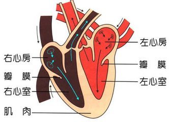 左心有点疼是怎么回事