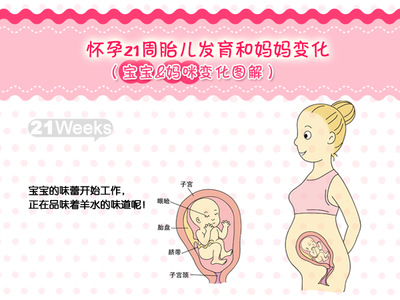 孕21周胎儿发育情况