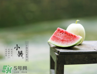 今年什么时候开始数伏