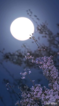 什么月好听