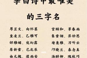 姓陈女孩子名字大全三个字