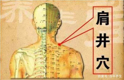 肩膀捏着疼是怎么回事