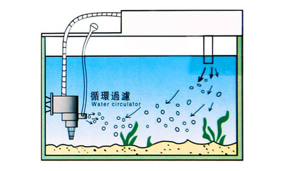 1.6米魚缸尺寸（1.6米的魚缸） 其他品牌魚缸