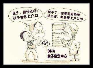 报户口需做亲子鉴定