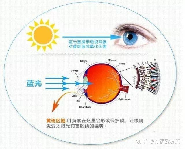 人为什么会发出红外线