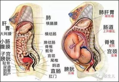 怀孕后两个月体重增加多少