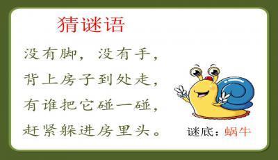 谜底是房子的谜语