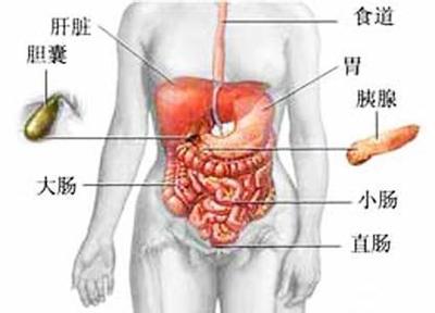 胃后半夜疼是怎么回事