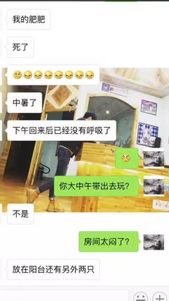 房间太闷