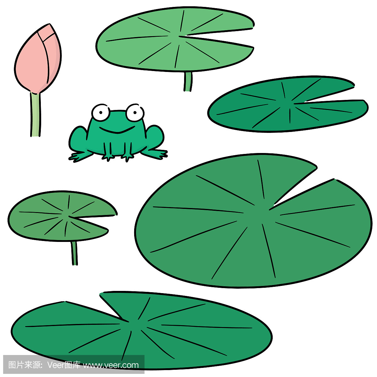 荷叶简笔画图片大全