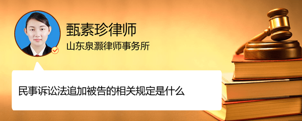 追加被告法律规定