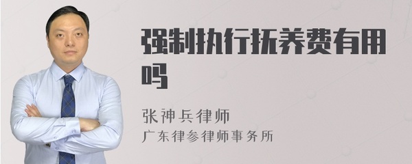 抚养费强制执行有用吗
