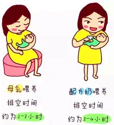 吃奶粉和母乳的区别