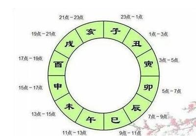 八字看天干还是地支