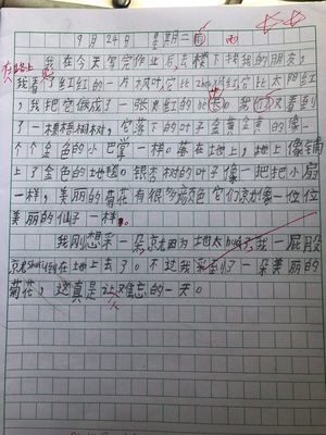 曰记怎么写30个字左右