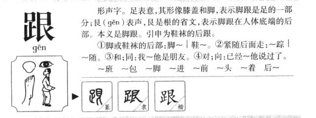 足五行属什么