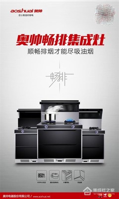 浙江奥帅厨房电器