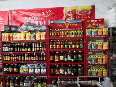 魚缸用礦泉水養(yǎng)魚可以嗎有毒嗎視頻（魚缸能用礦泉水養(yǎng)魚嗎?） 白子銀龍魚苗