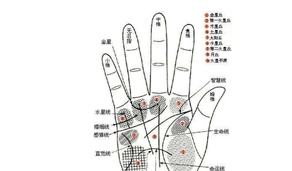 男手相婚姻线大全图解