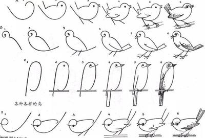 简易小鸟怎么画图片大全图片大全图片