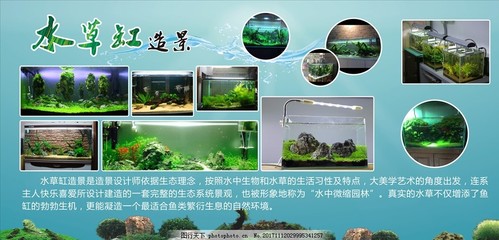 彩虹雷龍魚能混養(yǎng)嗎(彩虹雷龍可以和熱帶魚養(yǎng)嗎_) 照明器材