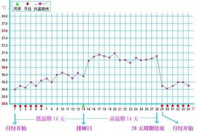 怀孕体温会高吗
