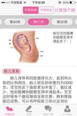 31周是怀孕几个月