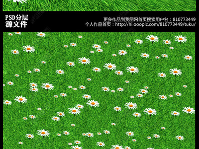 草坪地砖