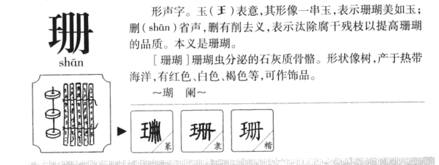 王五行属什么