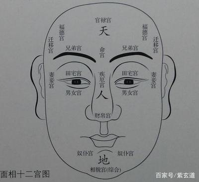 耳高于眉的男人命运