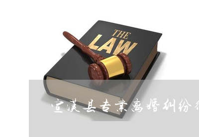 法律纠纷律师