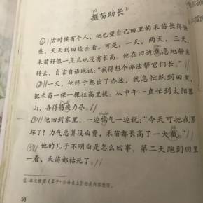 揠苗助长后感怎么写250字