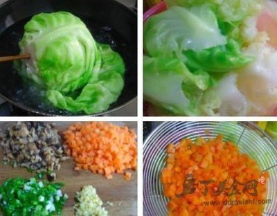 包菜菜做法大全家常