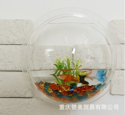 魚(yú)缸的木頭不沉底怎么辦視頻教學(xué)（魚(yú)缸的木頭不沉底怎么辦視頻教學(xué)全集） 其他品牌魚(yú)缸