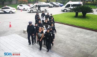 跨国犯罪组织