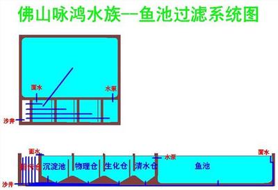 鱼池过滤系统设计图