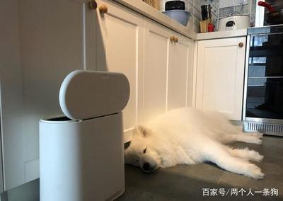 厨房可以睡觉吗