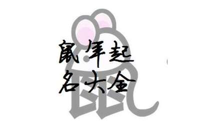 胡姓取名大全