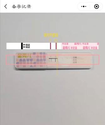 怎么用试纸测怀孕