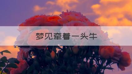 梦见自己牵着一头牛
