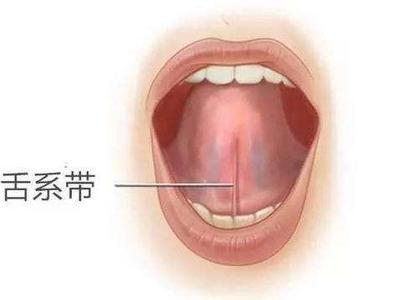 宝宝舌头底下正常图片