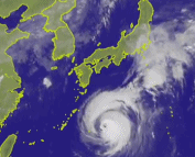 飞燕台风