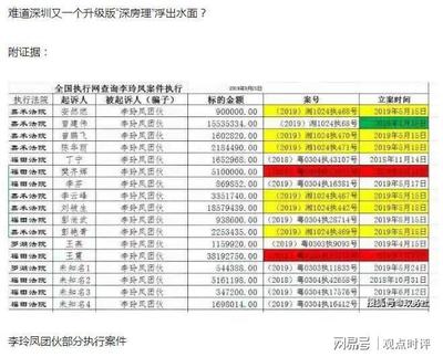 全国执行网信息查询