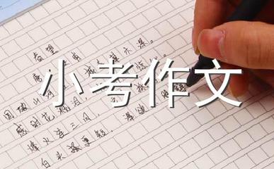 我想对小鸟说什么400字作文怎么写